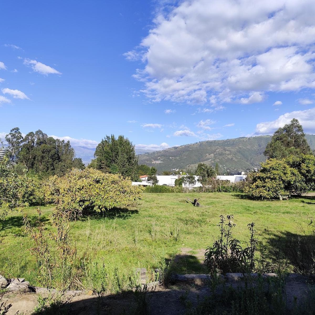 Terreno en Renta en San Francisco de Pinsha, 4.000 m², Ideal Para Turismo, Eventos y Gastronomía — imagen 1