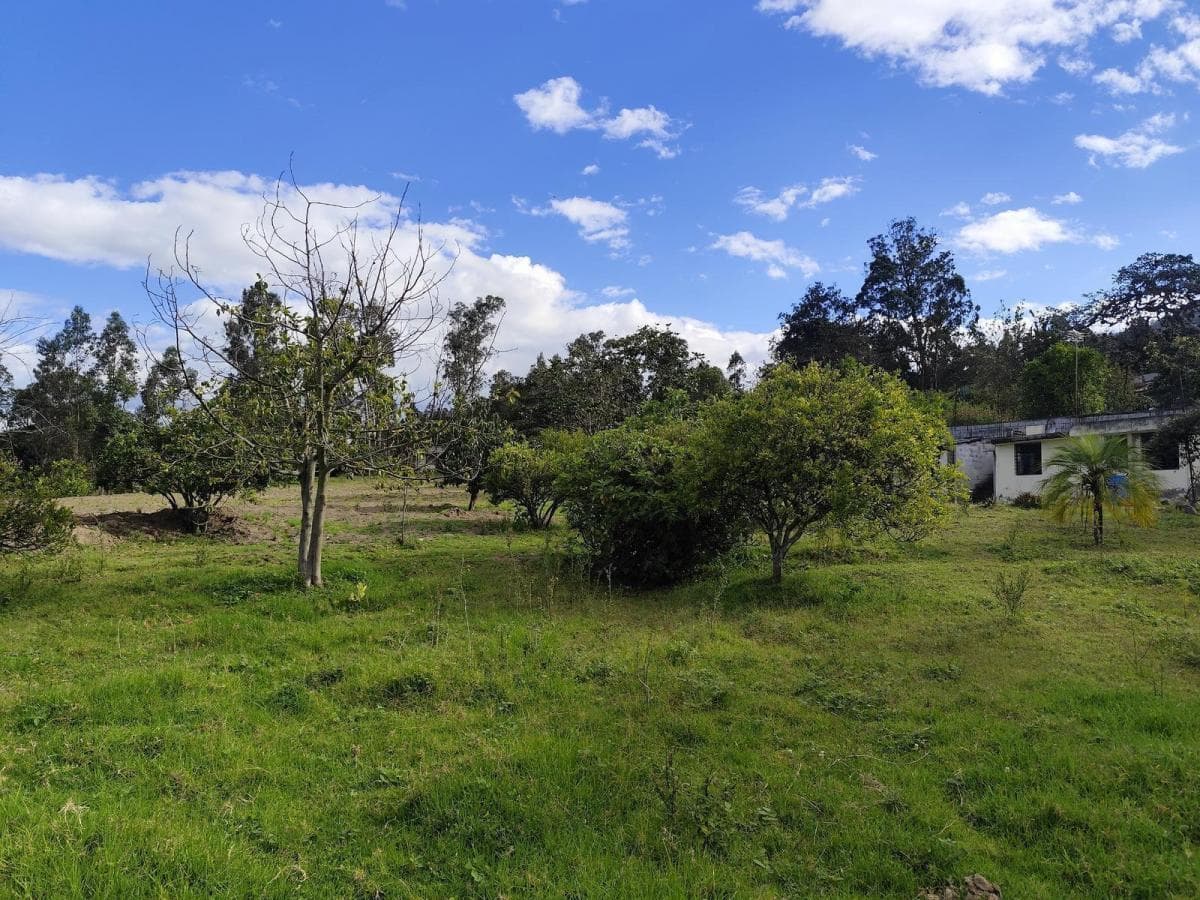 Terreno en Renta en San Francisco de Pinsha, 4.000 m², Ideal Para Turismo, Eventos y Gastronomía — imagen 9