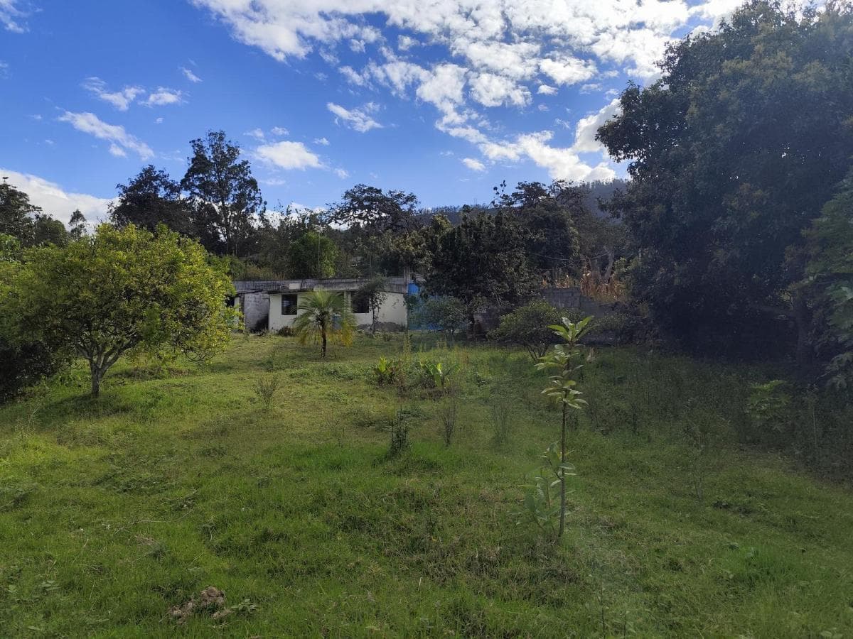 Terreno en Renta en San Francisco de Pinsha, 4.000 m², Ideal Para Turismo, Eventos y Gastronomía — imagen 8