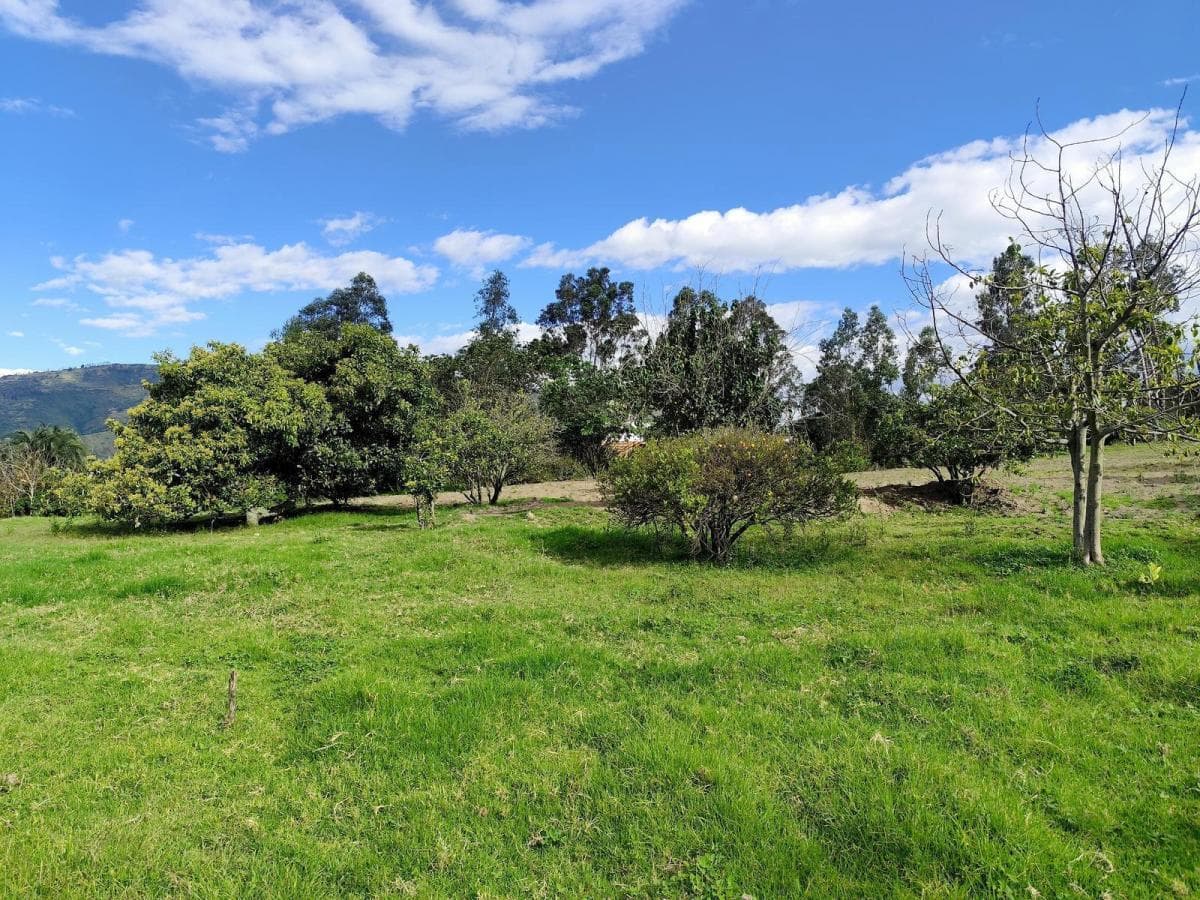 Terreno en Renta en San Francisco de Pinsha, 4.000 m², Ideal Para Turismo, Eventos y Gastronomía — imagen 7
