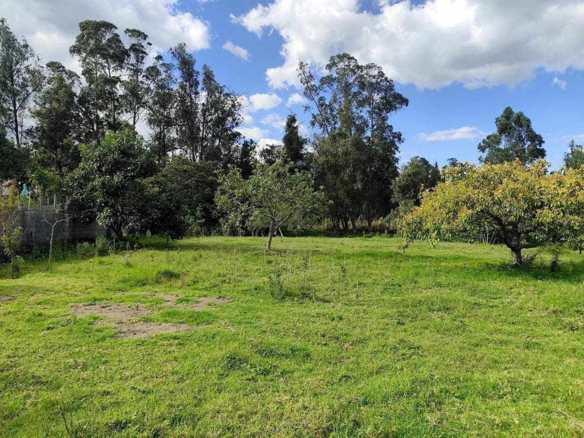 Terreno en Renta en San Francisco de Pinsha, 4.000 m², Ideal Para Turismo, Eventos y Gastronomía — imagen 5