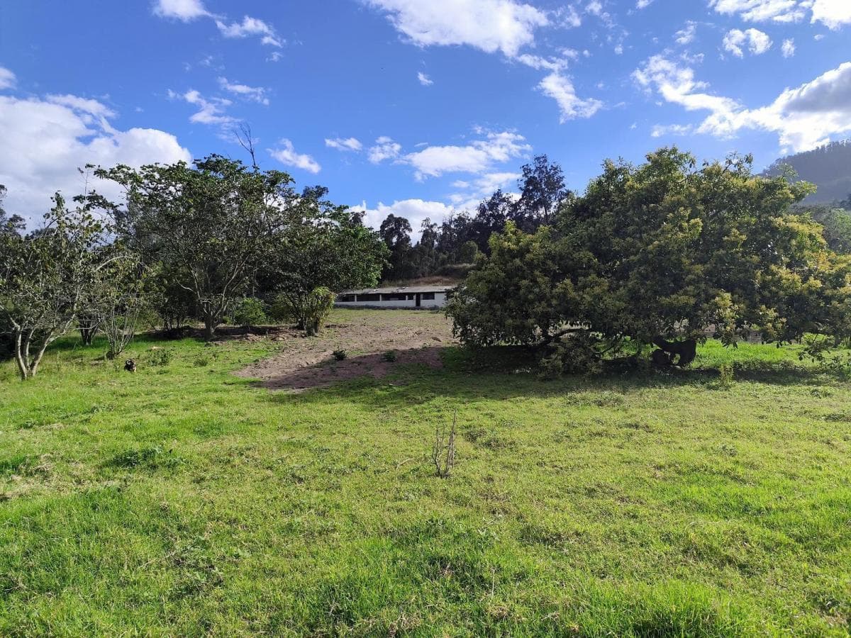 Terreno en Renta en San Francisco de Pinsha, 4.000 m², Ideal Para Turismo, Eventos y Gastronomía — imagen 4