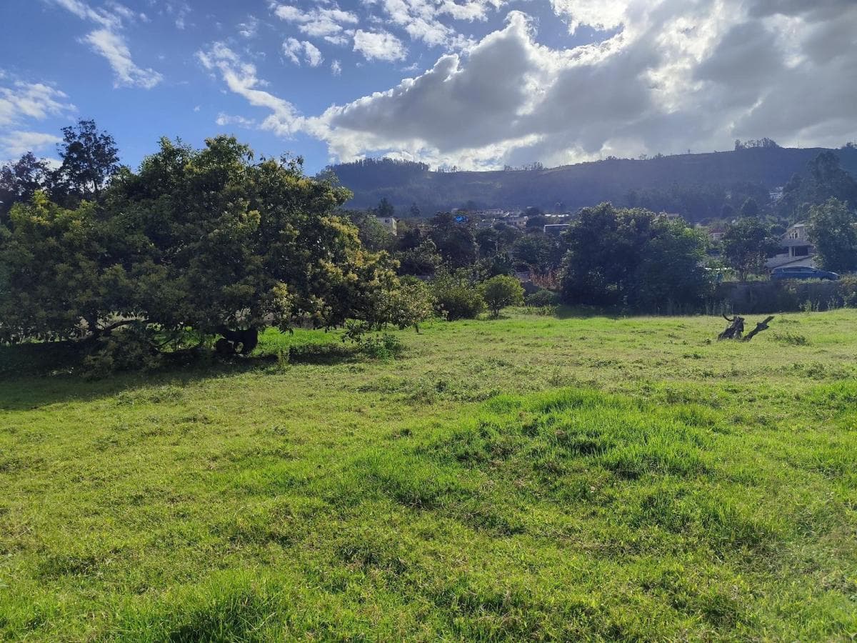 Terreno en Renta en San Francisco de Pinsha, 4.000 m², Ideal Para Turismo, Eventos y Gastronomía — imagen 3