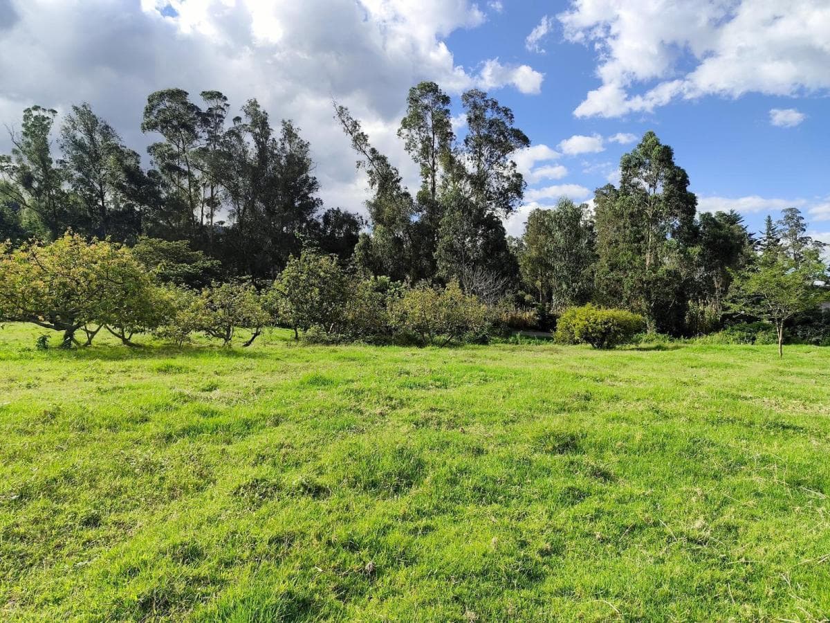 Terreno en Renta en San Francisco de Pinsha, 4.000 m², Ideal Para Turismo, Eventos y Gastronomía — imagen 2