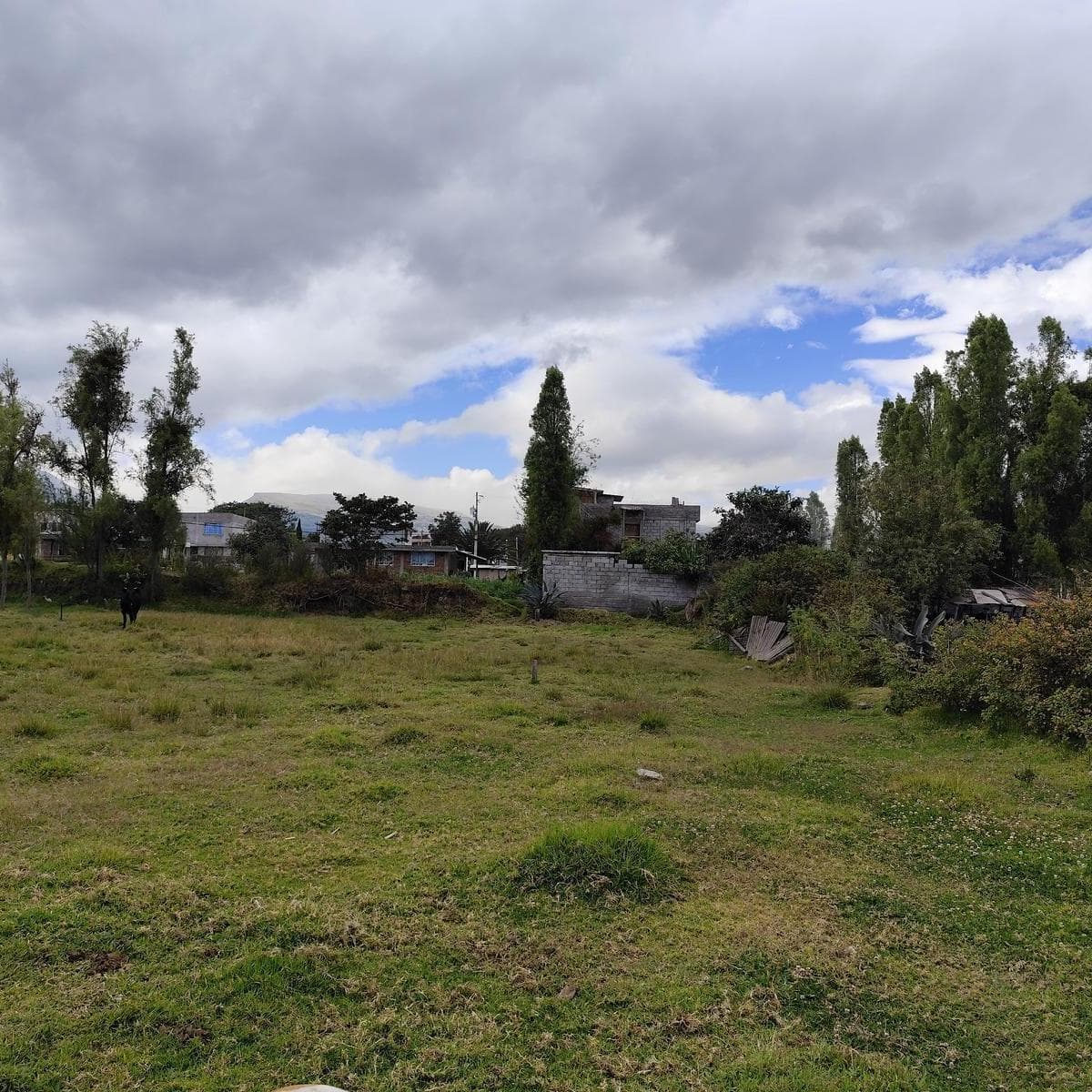 Terreno en Alquiler en Tumbaco, Ideal Para Guardería Canina, Logística o Club Deportivo — imagen 1