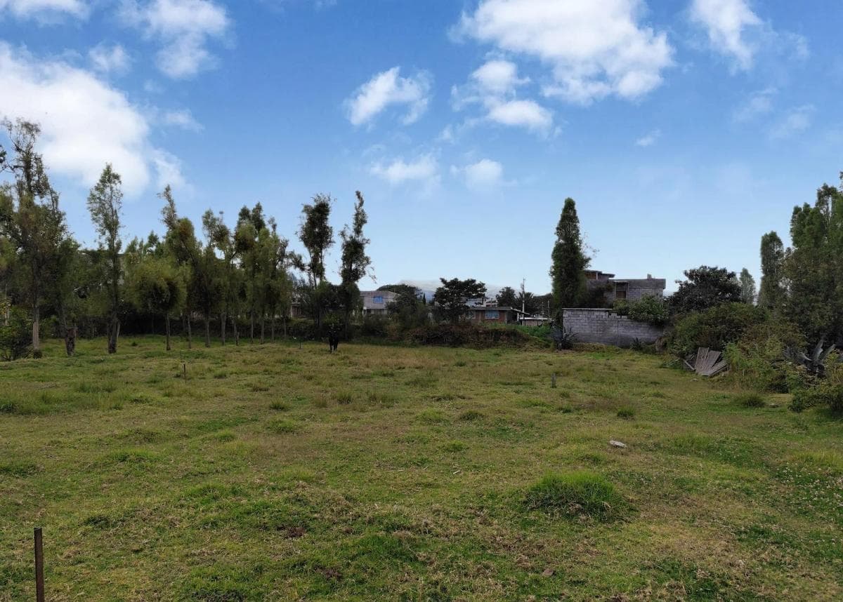 Terreno en Alquiler en Tumbaco, Ideal Para Guardería Canina, Logística o Club Deportivo — imagen 4