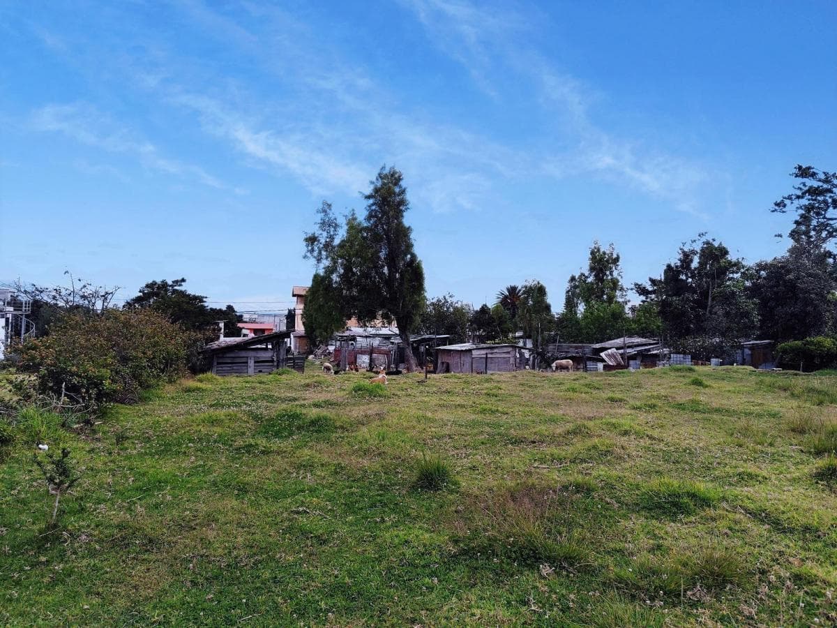 Terreno en Alquiler en Tumbaco, Ideal Para Guardería Canina, Logística o Club Deportivo — imagen 3