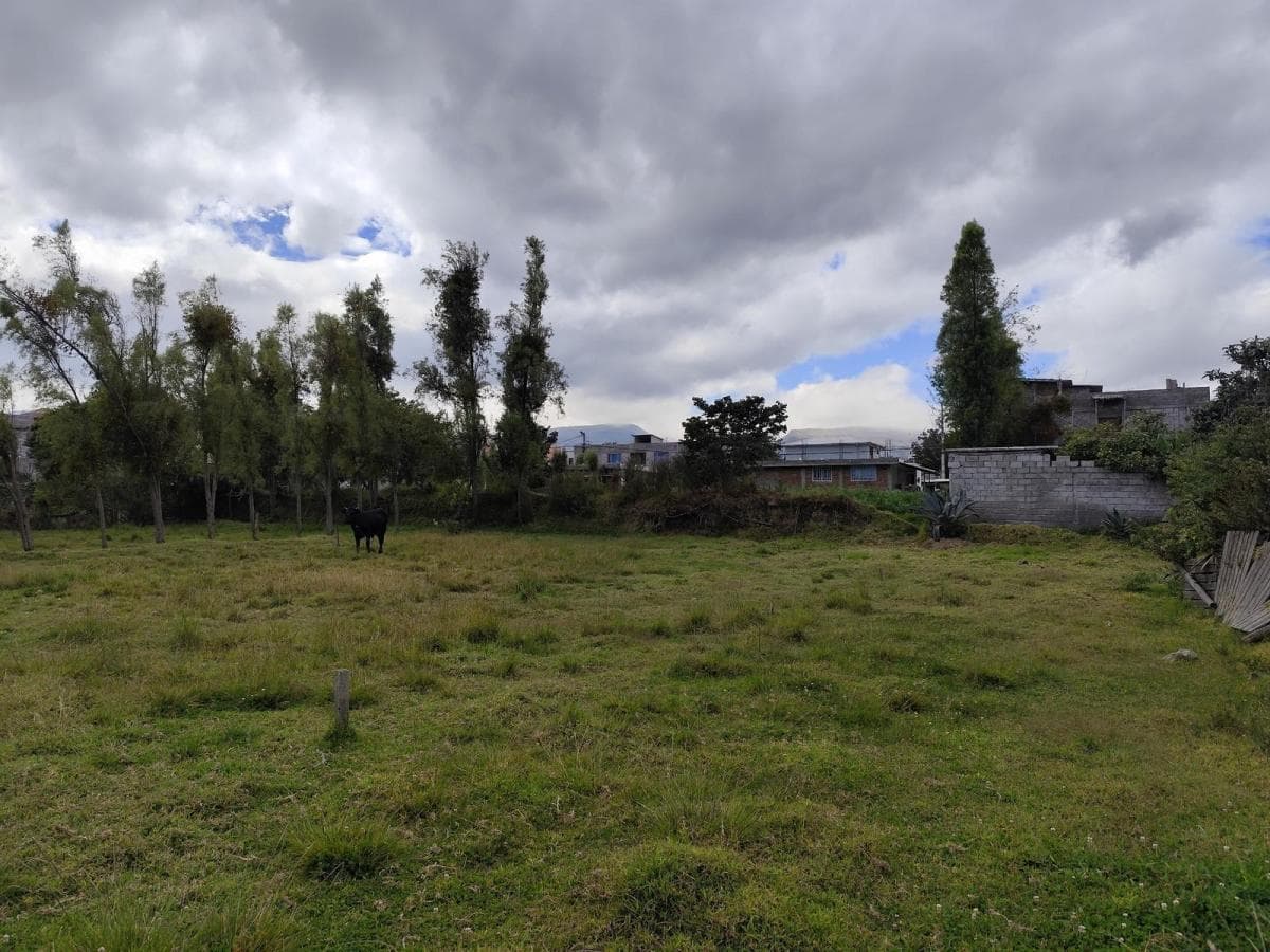 Terreno en Alquiler en Tumbaco, Ideal Para Guardería Canina, Logística o Club Deportivo — imagen 2