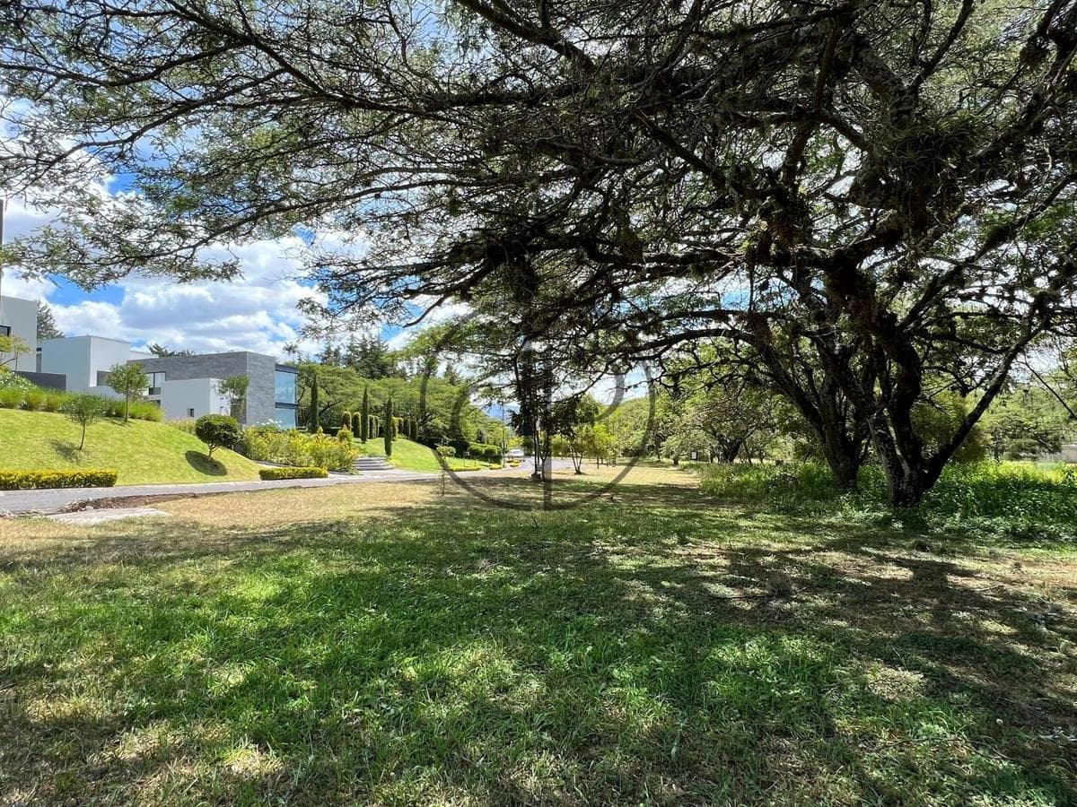 Puembo - Urbanizacion Arrayanes en Venta Terreno 1262 m² Esquinero — imagen 1
