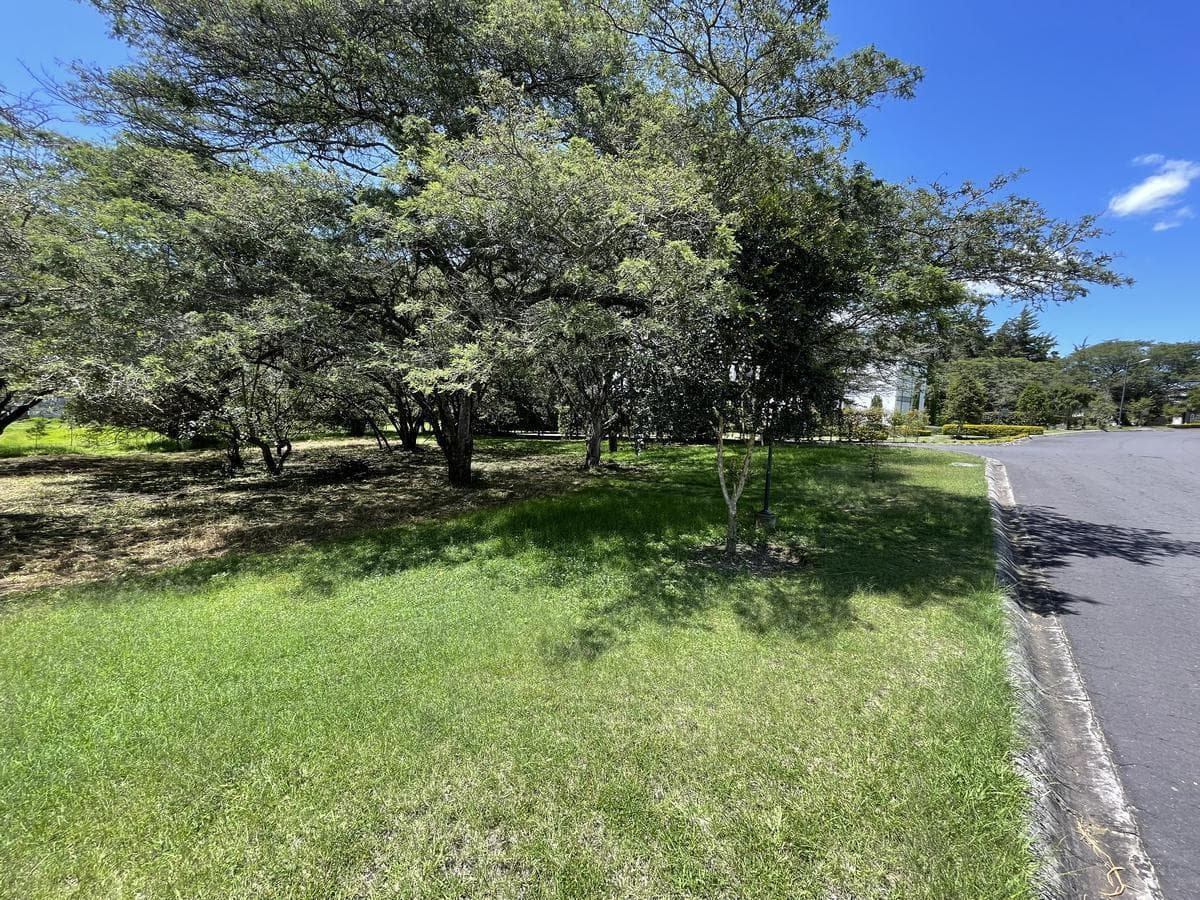 Puembo - Urbanizacion Arrayanes en Venta Terreno 1262 m² Esquinero — imagen 10