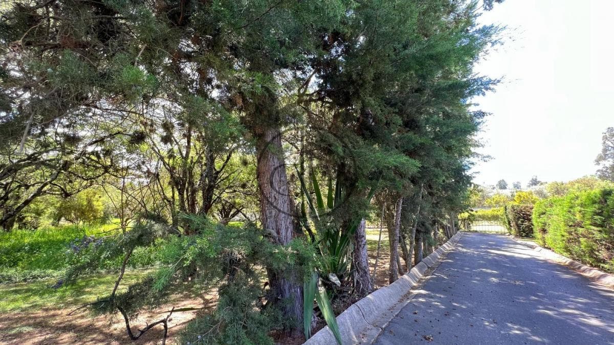 Puembo - Urbanizacion Arrayanes en Venta Terreno 1262 m² Esquinero — imagen 9