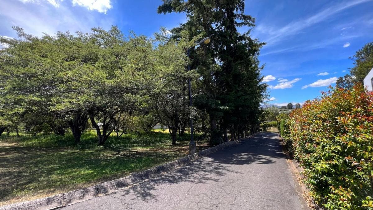 Puembo - Urbanizacion Arrayanes en Venta Terreno 1262 m² Esquinero — imagen 5