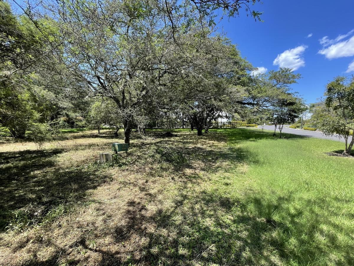 Puembo - Urbanizacion Arrayanes en Venta Terreno 1262 m² Esquinero — imagen 4