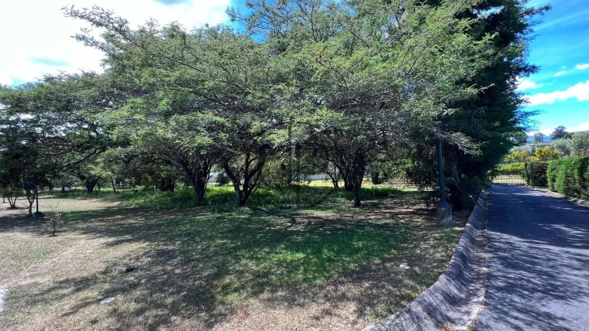 Puembo - Urbanizacion Arrayanes en Venta Terreno 1262 m² Esquinero — imagen 2