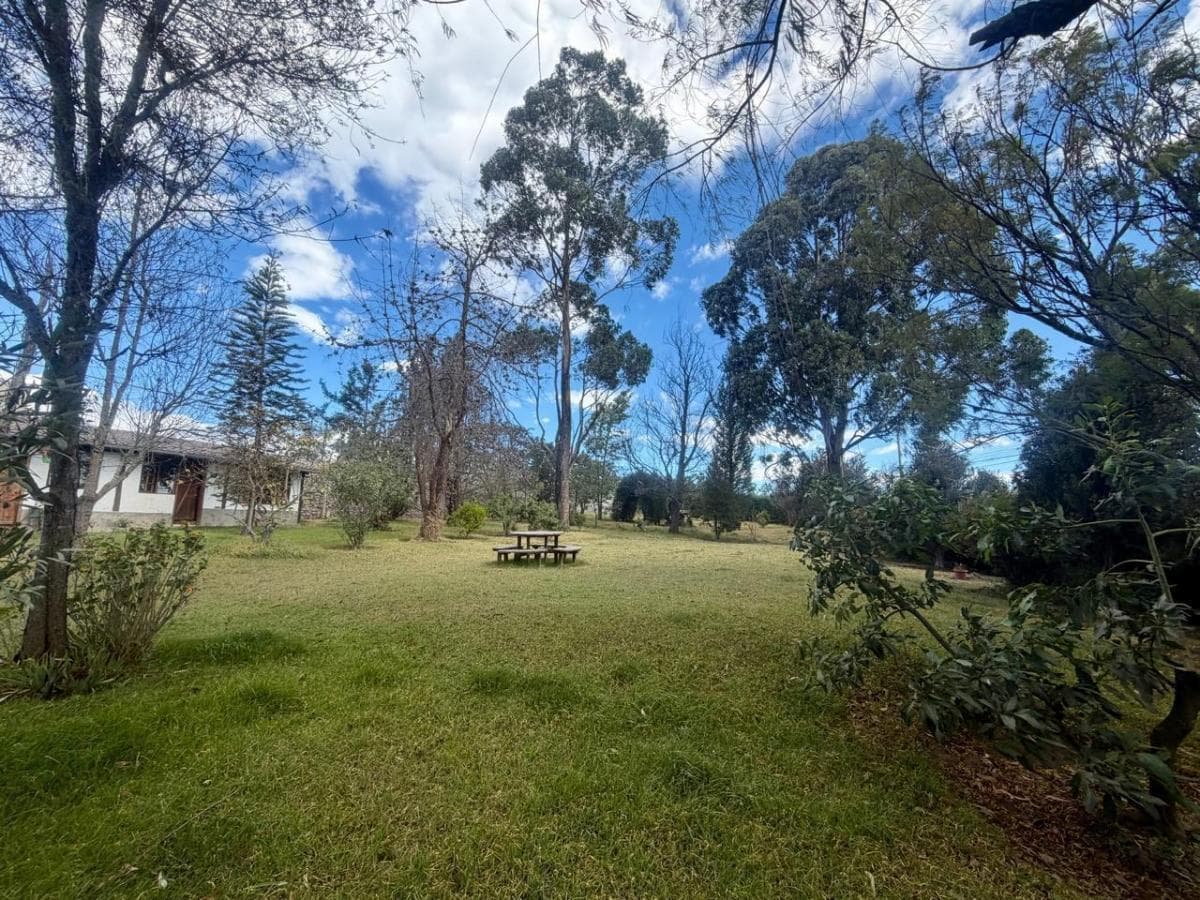 Casa con 3000 m de Terreno en Venta, Pifo — imagen 6