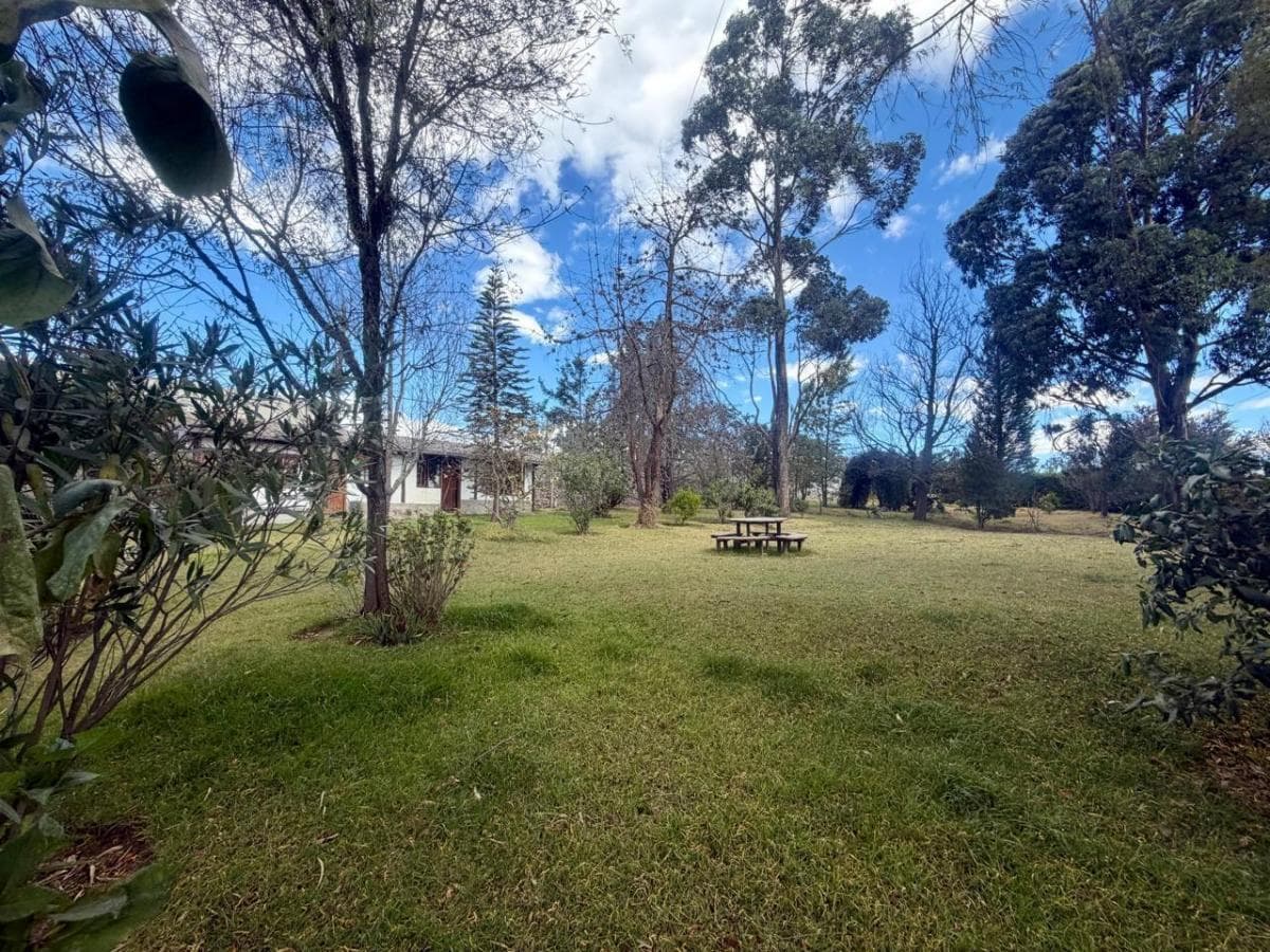 Casa con 3000 m de Terreno en Venta, Pifo — imagen 5