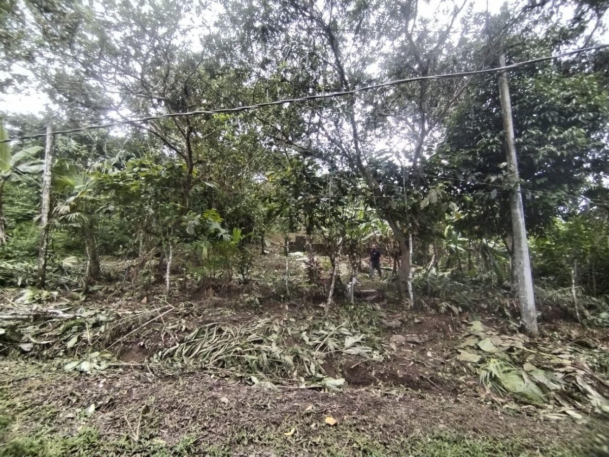 Terreno en Venta, Pacto, Comunidad Mashpi. Provincia de Pichincha — imagen 8