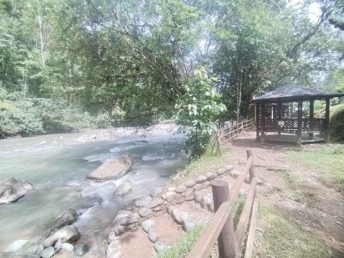 Terreno en Venta, Pacto, Comunidad Mashpi. Provincia de Pichincha — imagen 5