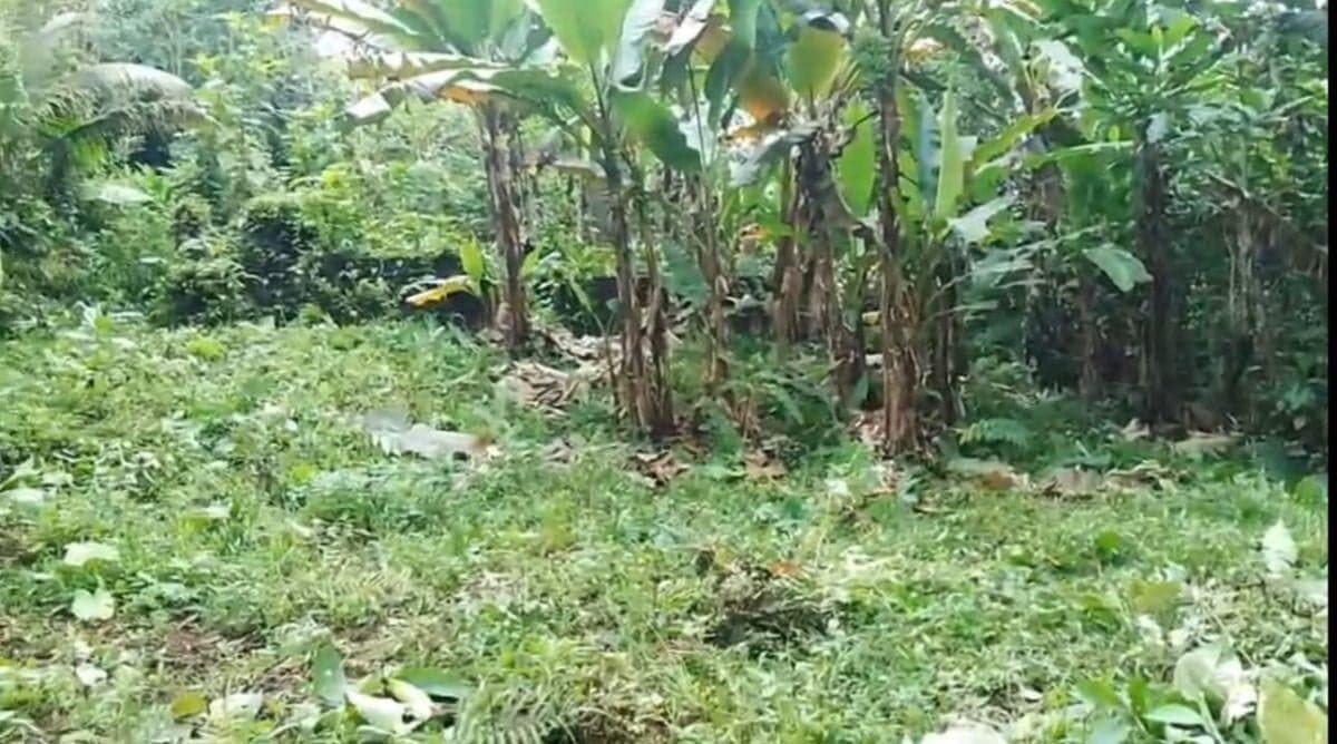 Terreno en Venta, Pacto, Comunidad Mashpi. Provincia de Pichincha — imagen 4