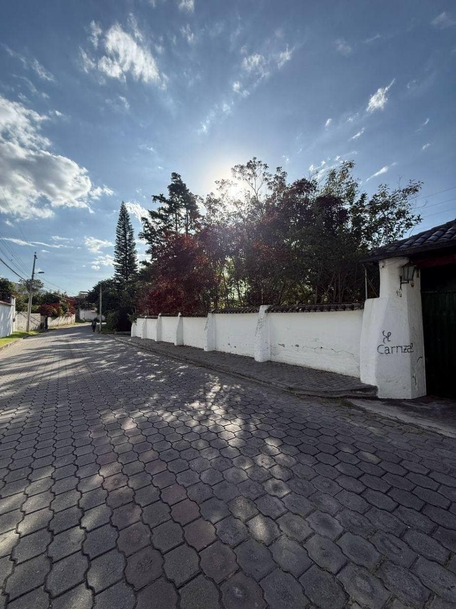Terreno - en Venta - Tumbaco - 520 m² — imagen 9