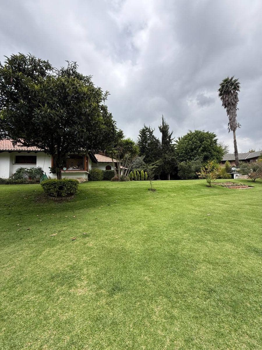Terreno - en Venta - Tumbaco - 520 m² — imagen 5