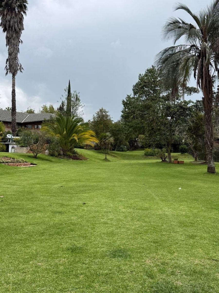 Terreno - en Venta - Tumbaco - 520 m² — imagen 4