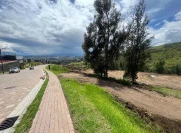 Terreno Premium en Exclusiva Urbanización de Tumbaco | Privacidad y Entorno Único | Makea Alta — imagen 2