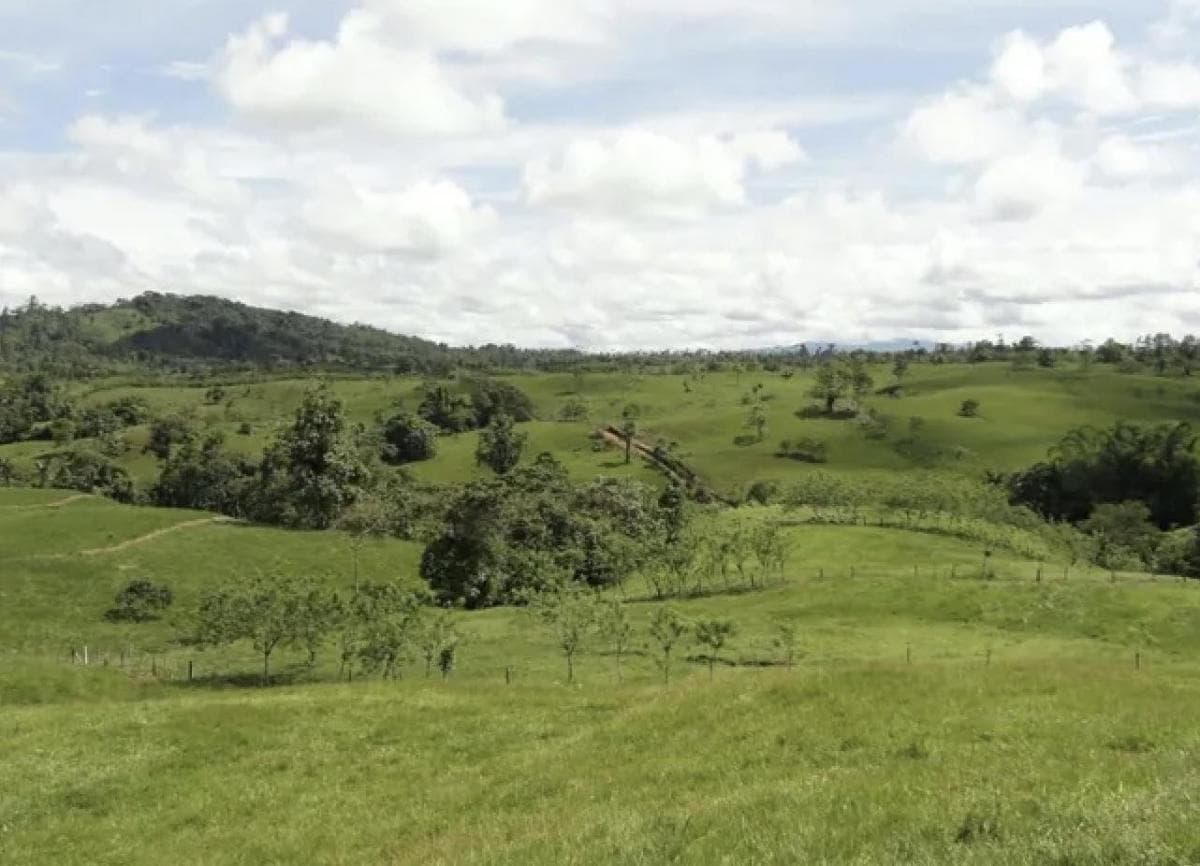Pedro Vicente Maldonado Lotes de Terreno de 10.000 M — imagen 8
