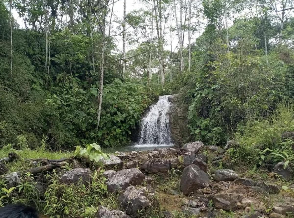 Pedro Vicente Maldonado Lotes de Terreno de 10.000 M — imagen 6