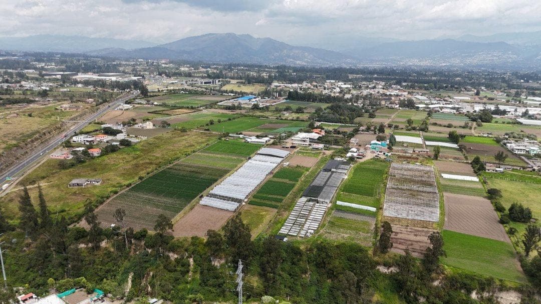 Vendo Amplio Terreno, Sector Tababela — imagen 9