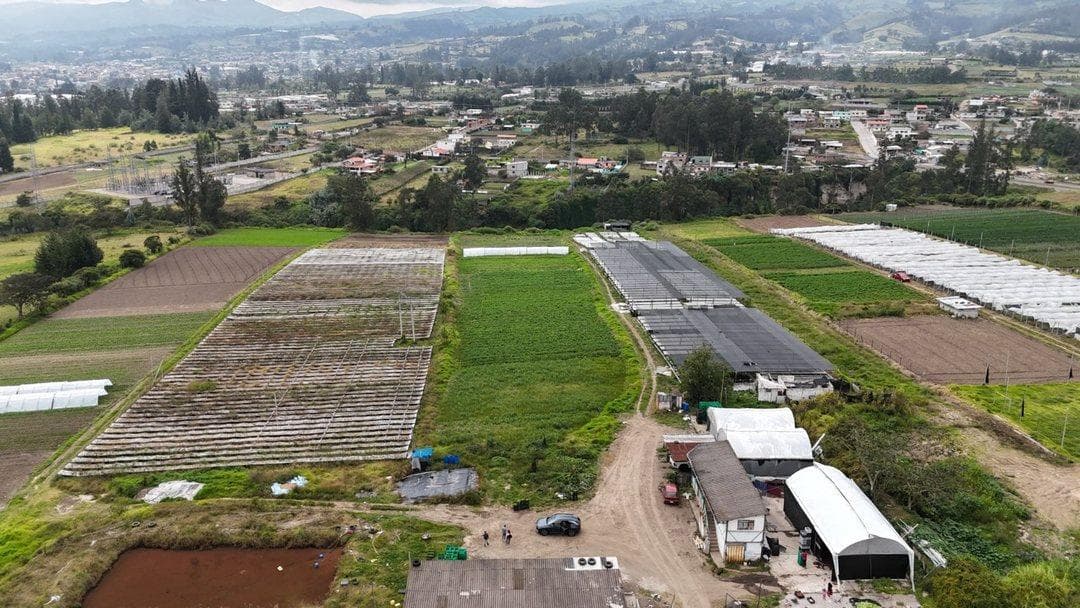 Vendo Amplio Terreno, Sector Tababela — imagen 7