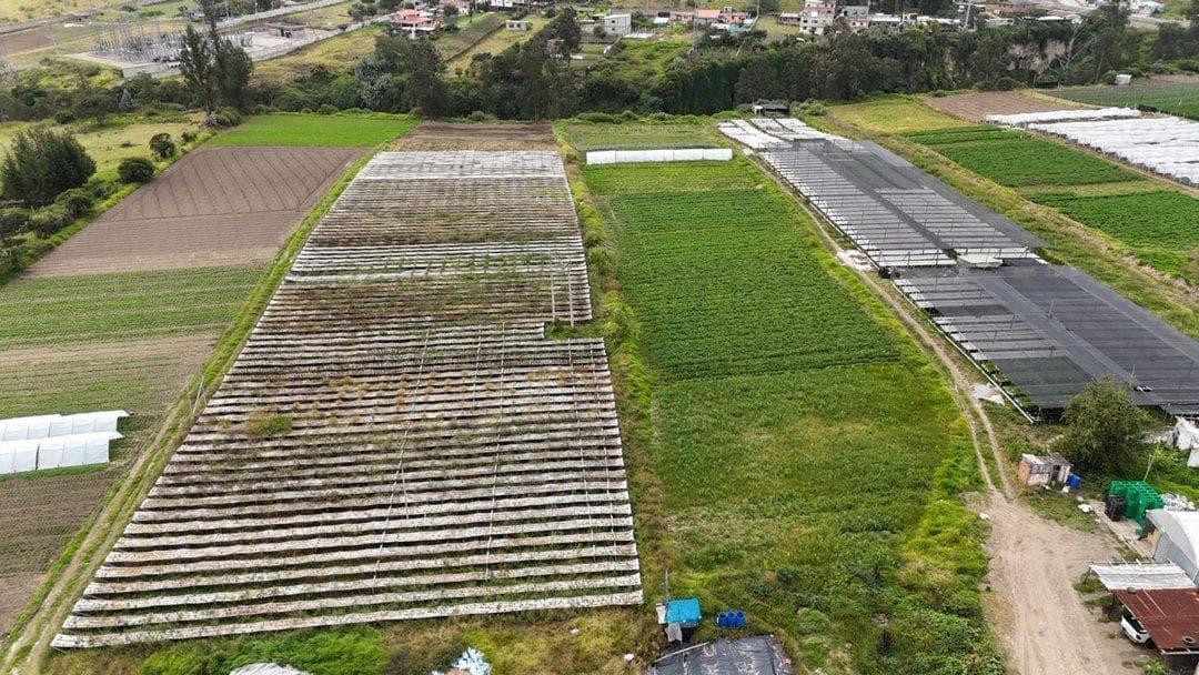 Vendo Amplio Terreno, Sector Tababela — imagen 3