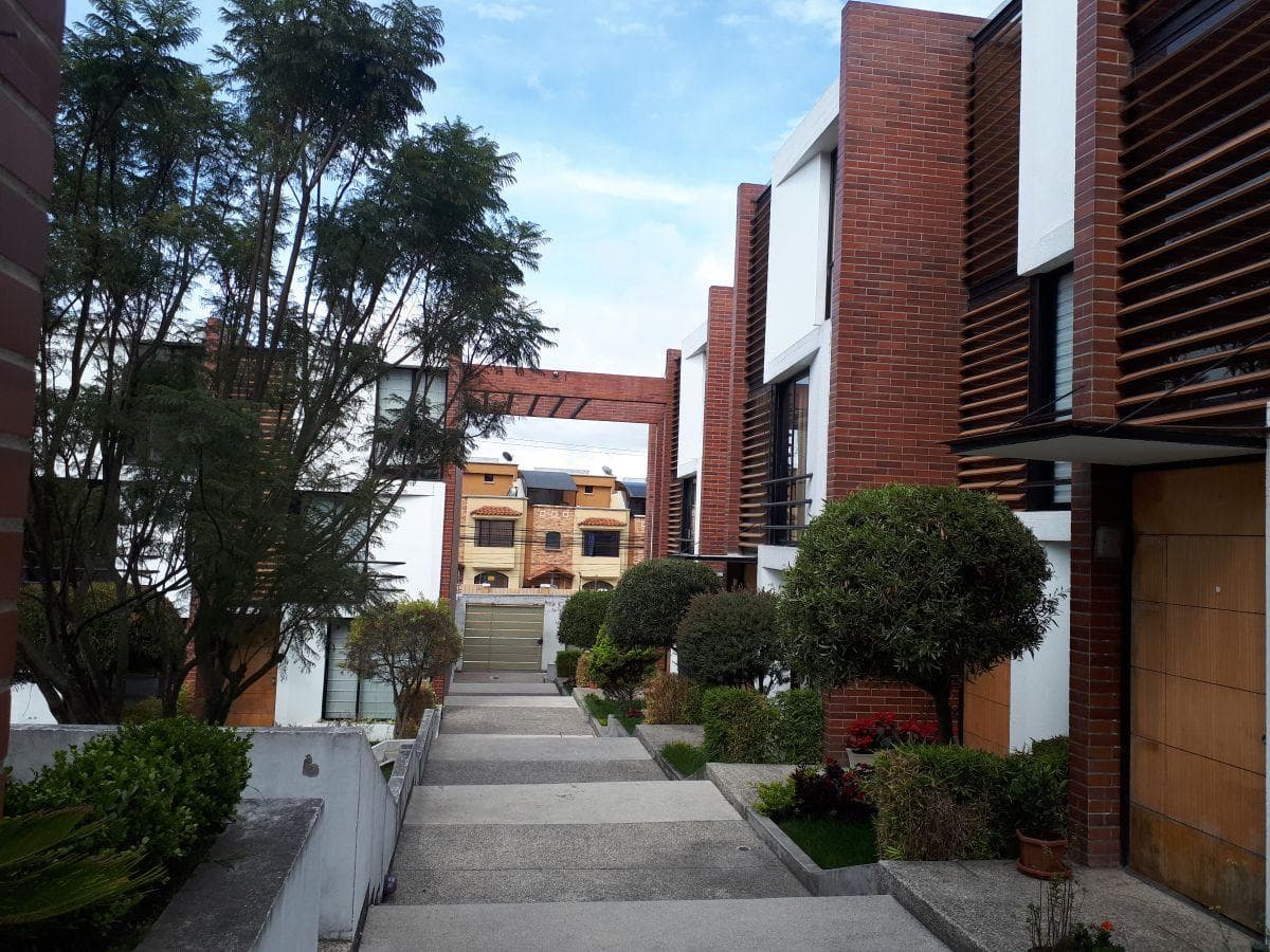 Amplia, Luminosa y con Estilo. Casa Moderna en El Condado — imagen 9