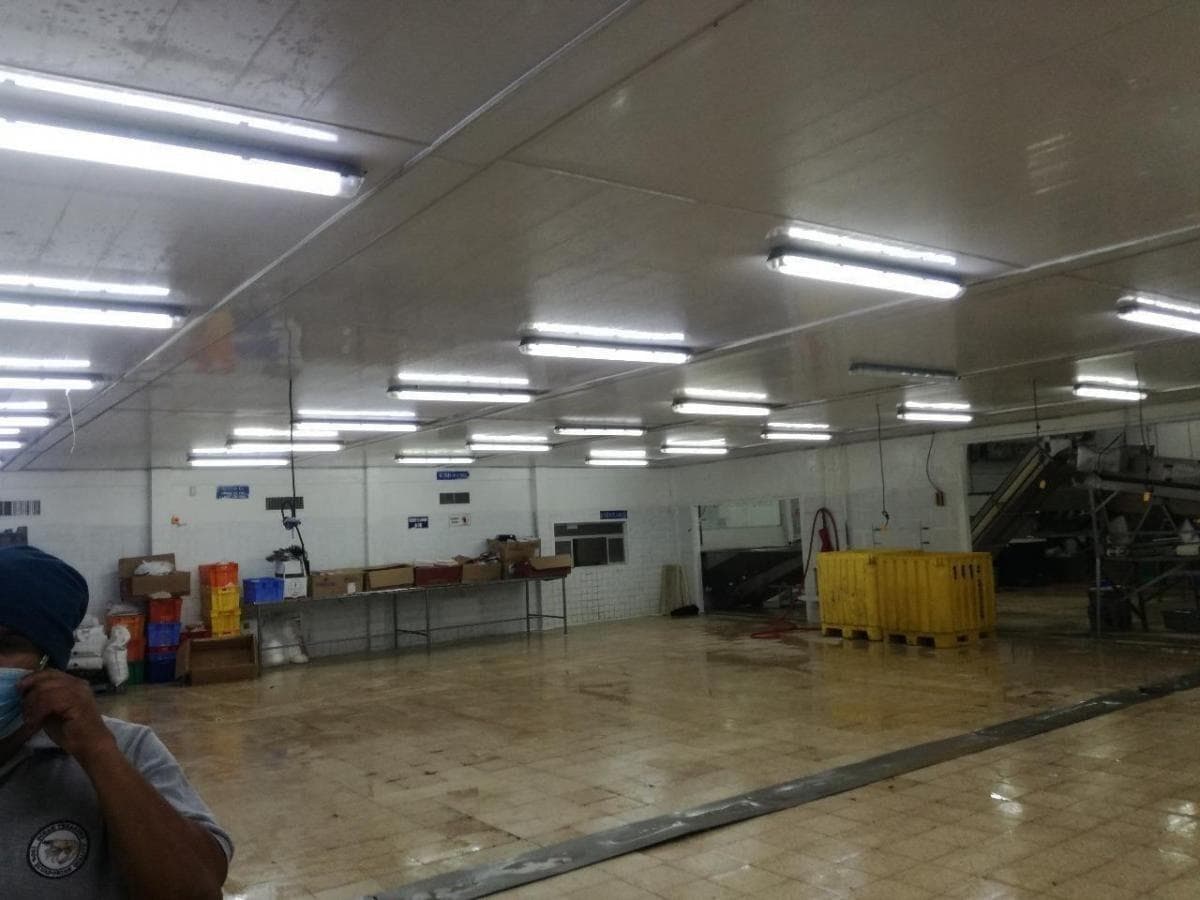 De Venta en Guayas Empacadora de Camarón, Guayas — imagen 1