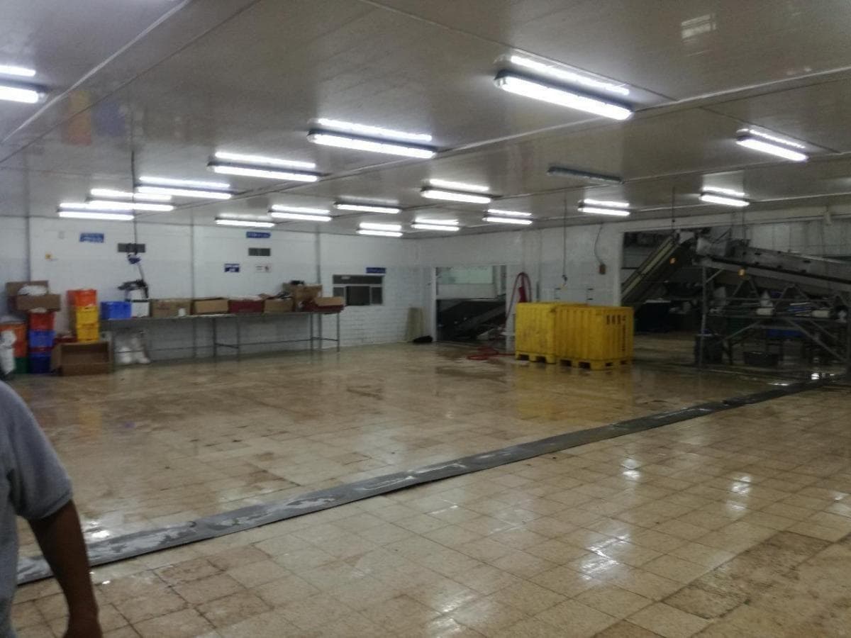 De Venta en Guayas Empacadora de Camarón, Guayas — imagen 9