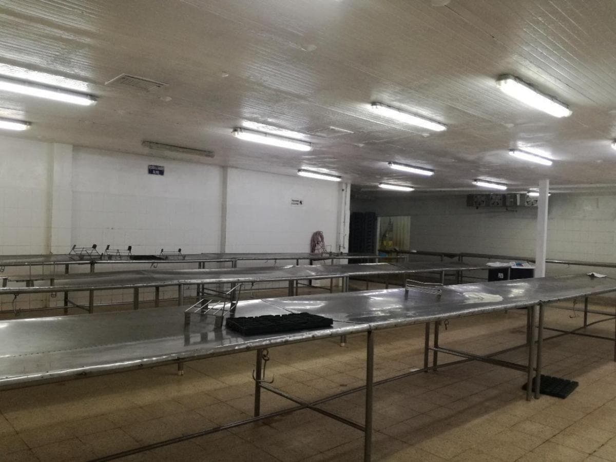 De Venta en Guayas Empacadora de Camarón, Guayas — imagen 6