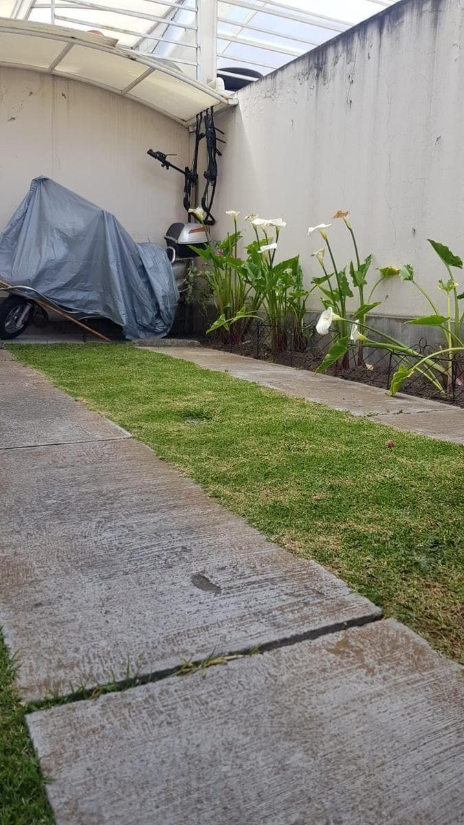 De Venta en Guayas Empacadora de Camarón, Guayas — imagen 2