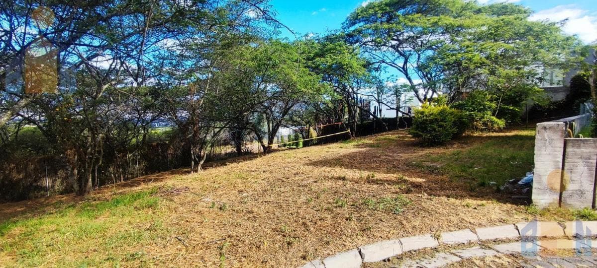 Venta Terreno Unifamiliar, 1384,33 M²,urbanización, Seguridad — imagen 6