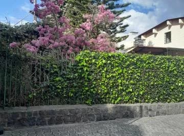 Vendo Hermosa Casa con Terreno, Sector Embajada Americana, Conjunto Farsalia. Provincia de Pichincha — imagen 3