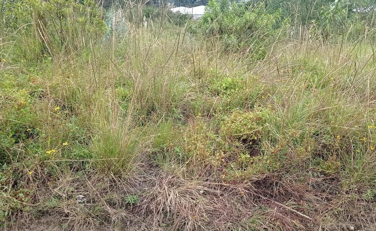 De Vende Hermoso Terreno en El Pedregal de Miranda en Conocoto — imagen 1