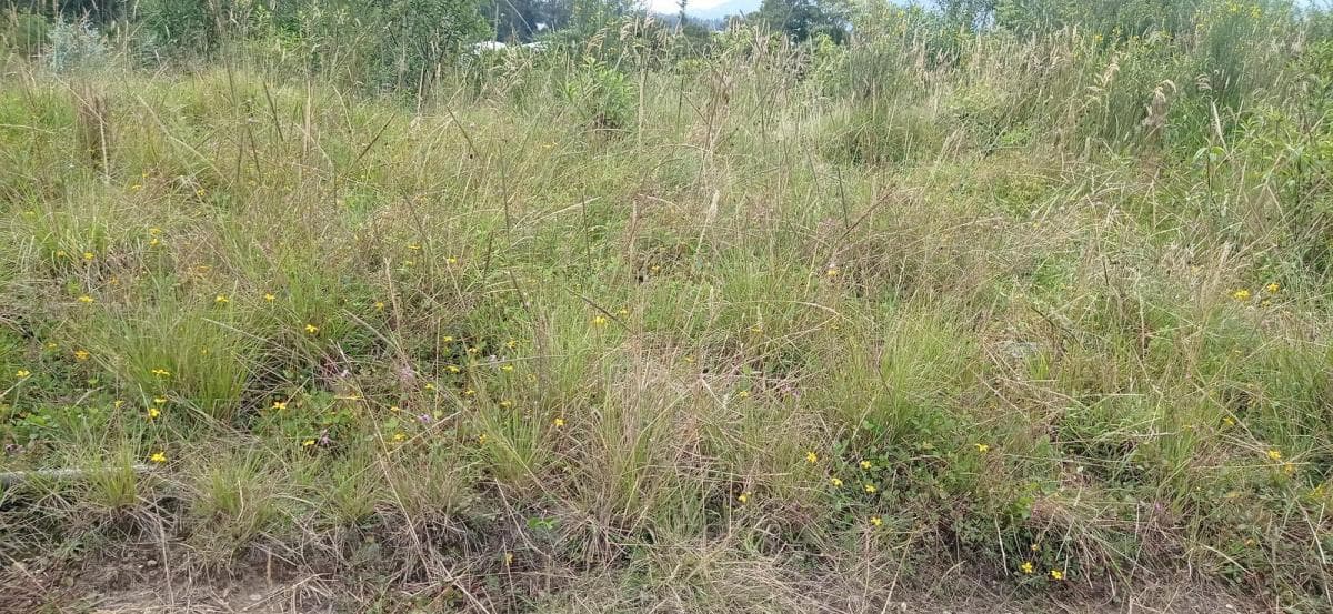 De Vende Hermoso Terreno en El Pedregal de Miranda en Conocoto — imagen 5