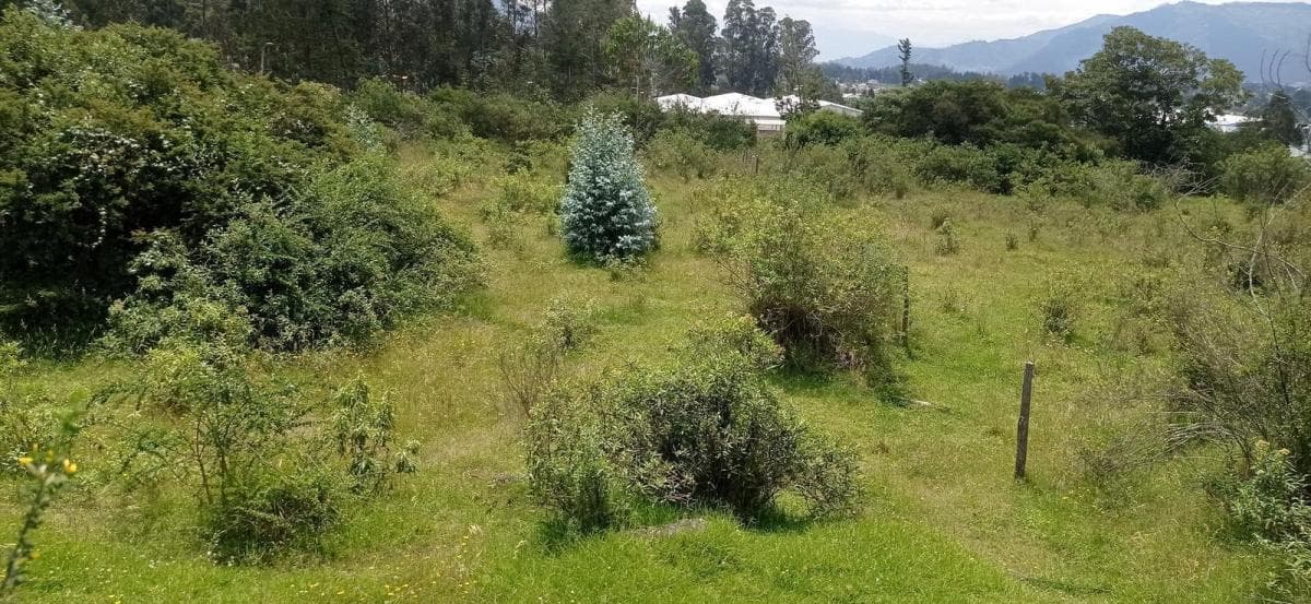 De Vende Hermoso Terreno en El Pedregal de Miranda en Conocoto — imagen 3