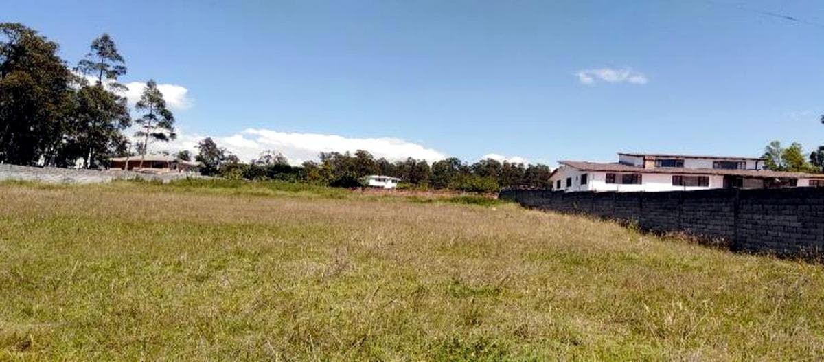 Terreno Esquinero 2.459 m² en Venta – Ontaneda, Conocoto — imagen 7