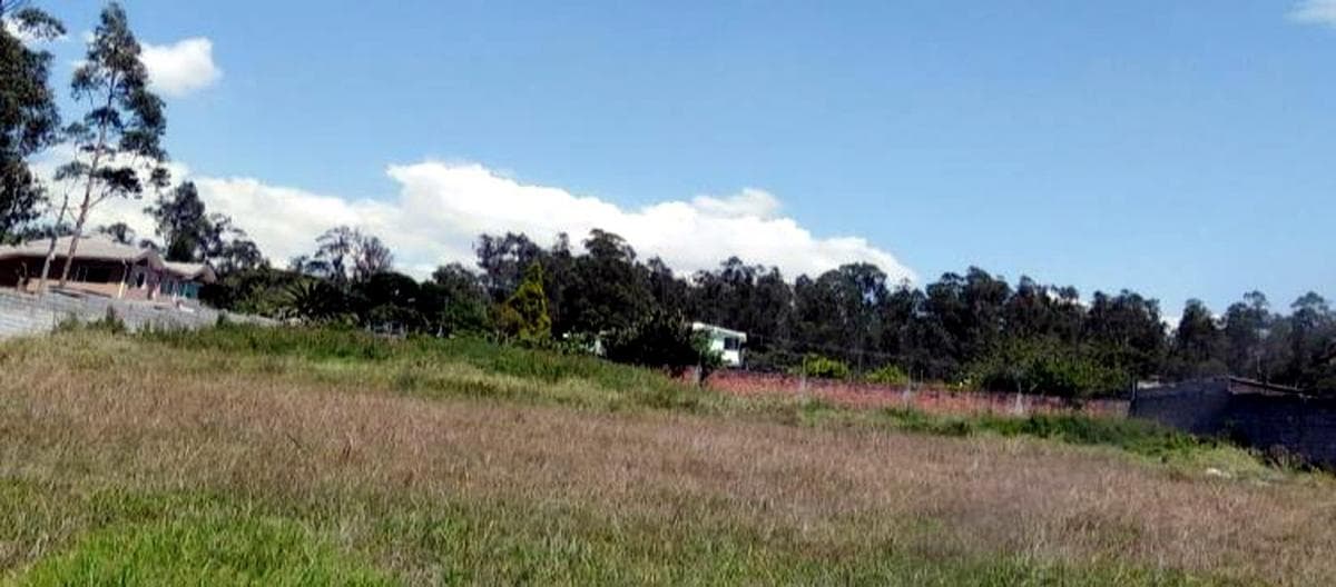 Terreno Esquinero 2.459 m² en Venta – Ontaneda, Conocoto — imagen 6