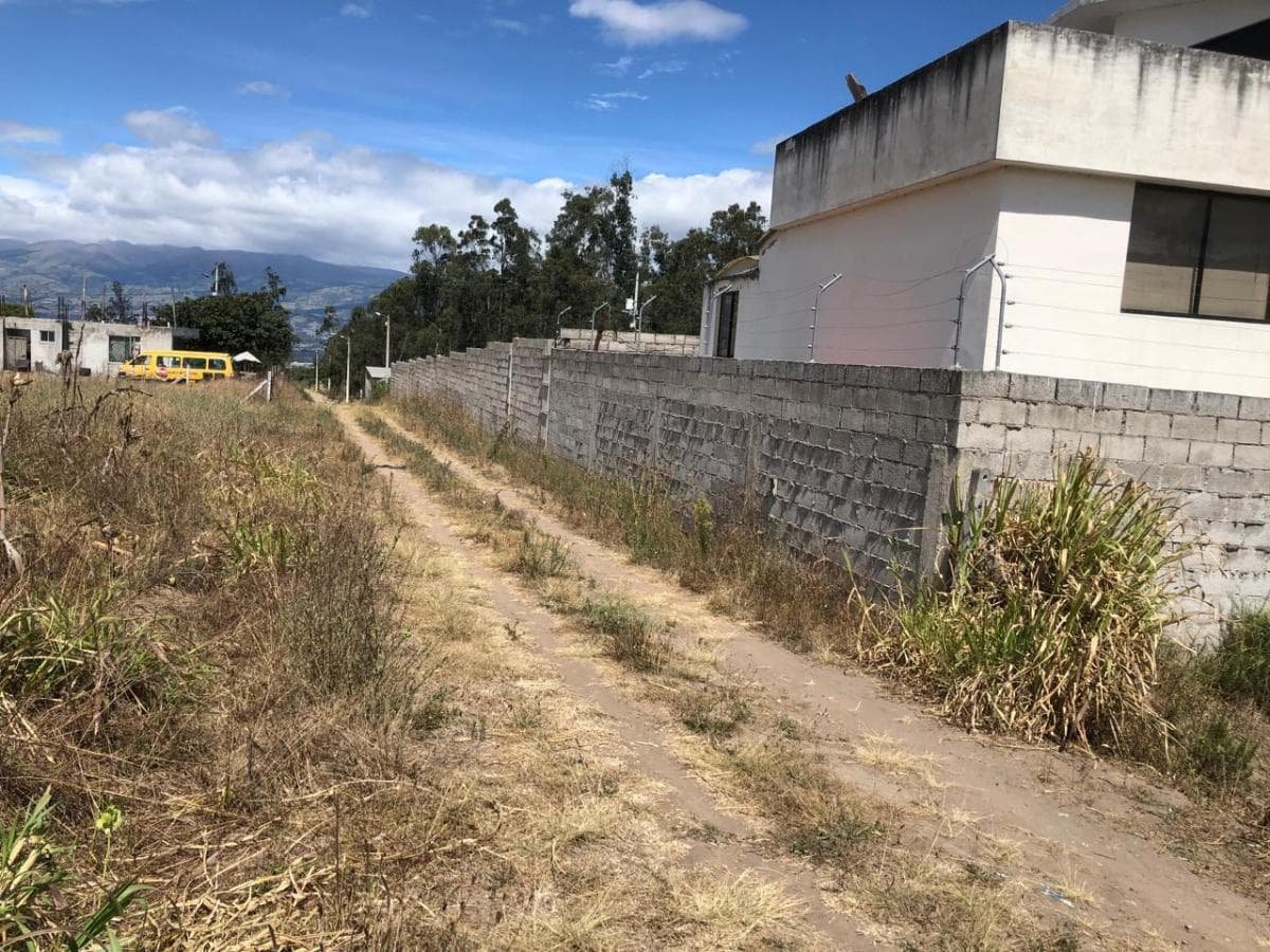 Venta de Terreno Plano en Llano Chico Cocotog — imagen 6