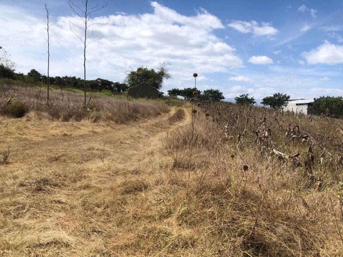 Venta de Terreno Plano en Llano Chico Cocotog — imagen 5