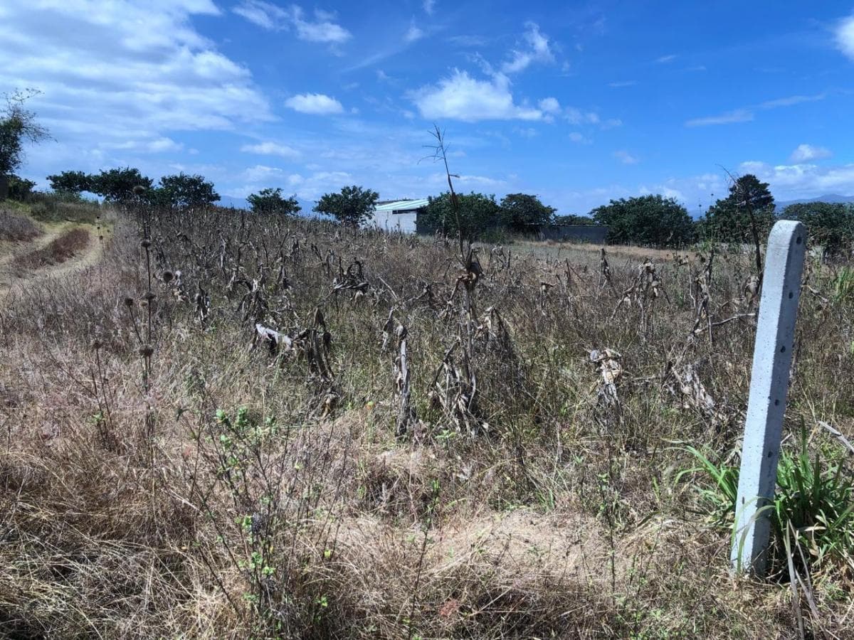Venta de Terreno Plano en Llano Chico Cocotog — imagen 3