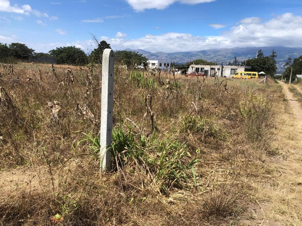 Venta de Terreno Plano en Llano Chico Cocotog — imagen 2