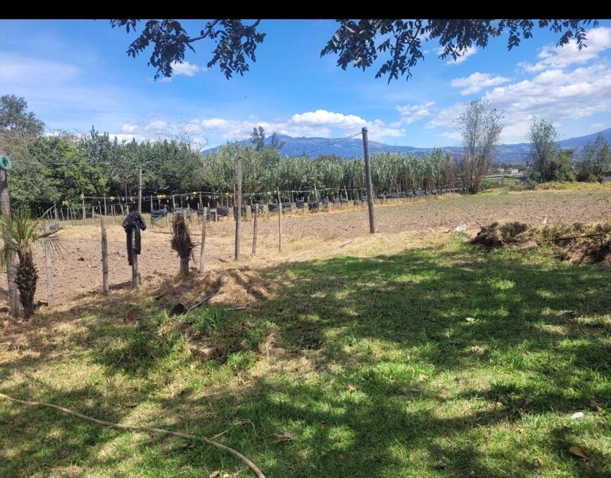 Terreno Plano de 6800 m² en Venta en Tababela — imagen 7