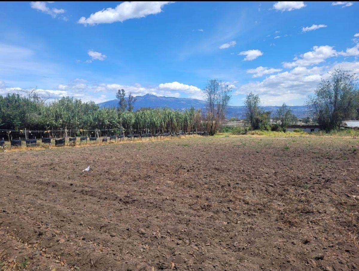 Terreno Plano de 6800 m² en Venta en Tababela — imagen 5